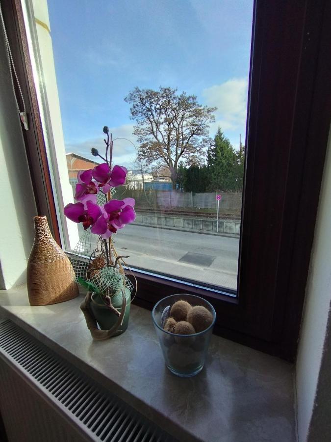 Sunny Side Apartment Kiel Bagian luar foto
