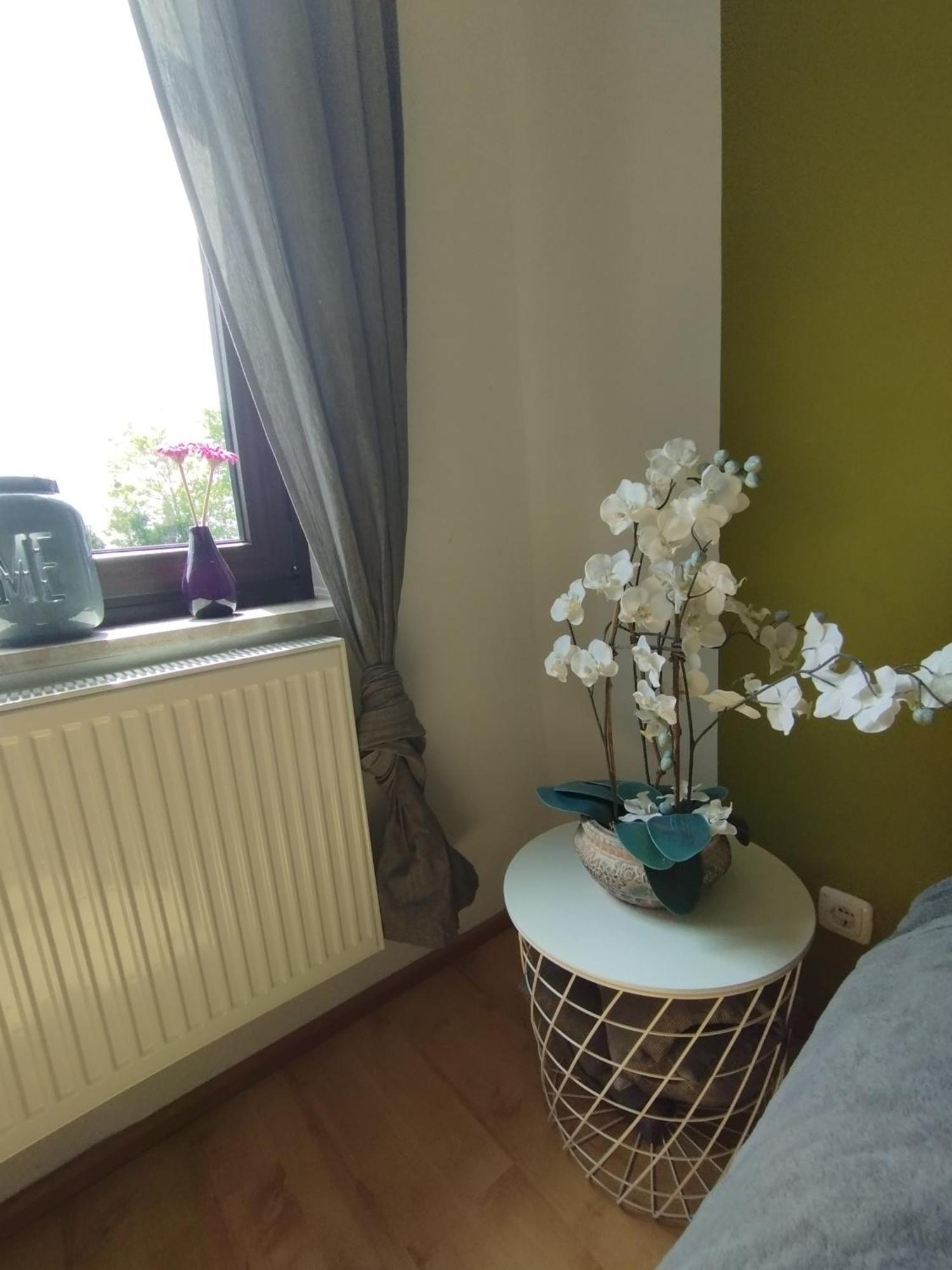 Sunny Side Apartment Kiel Bagian luar foto